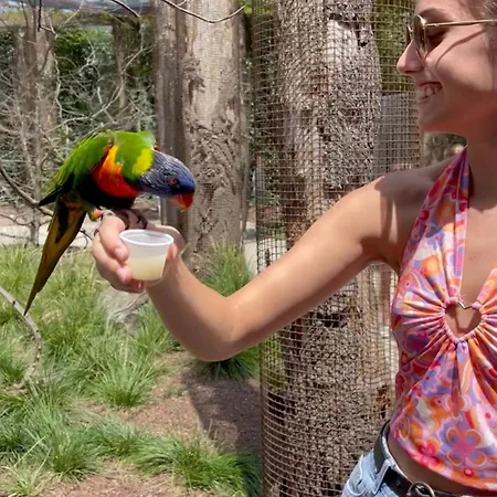 Paradisier, Clim, Grande Terrasse, Balneo, Parc Des Oiseaux Villars-les-Dombes